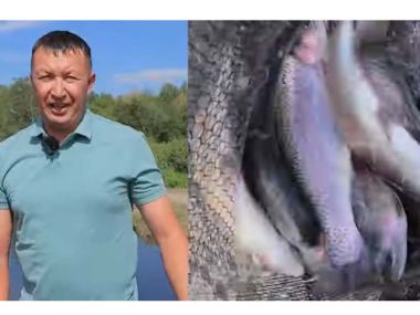 Рыба видит рыбака/ВИДЕО