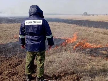 В лесу проводится отжиг травянистой растительности