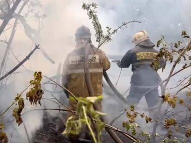 МЧС: Ситуация с лесными пожарами на территории области Абай стабилизируется