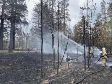 МЧС РК: тушение пожара в области Абай продолжается на 5 участках