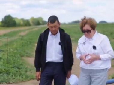 Год для арбузов в области Абай урожайный, хозяйство «Балке» не намерено повышать цены/ВИДЕО