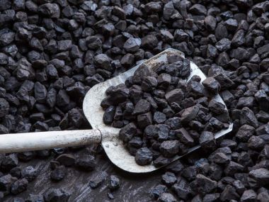 Где приобрести уголь по доступной цене?