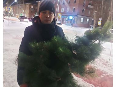Полицейские задержали мужчину,  укравшего новогоднюю елку в Усть-Каменогорске