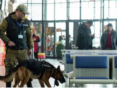 В аэропортах усиливают меры безопасности