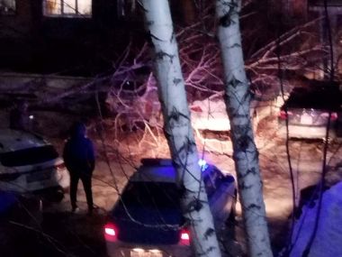 В Усть-Каменогорске упавшее дерево повредило три автомобиля