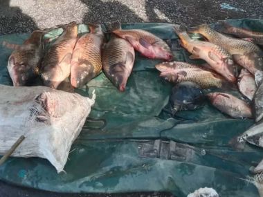 В ВКО завели уголовное дело за незаконный лов рыбы