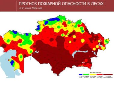 55 лесных пожаров за одни сутки: последствия грозового фронта