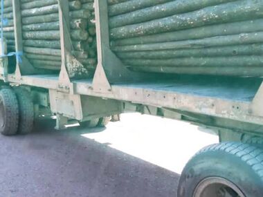 Полиция области Абай усилила проверки транспорта по вывозу леса