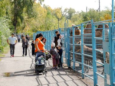 В честь Дня города жители Семея бесплатно посетили Биологический центр