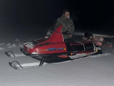 Незаконная охота выявлена в области Абай