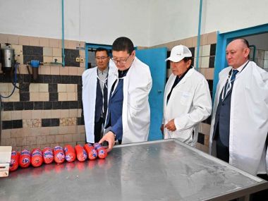 Аким области: необходимо увеличить количество хозяйств, перерабатывающих мясную и молочную продукцию