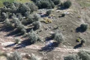 61 свалка ликвидирована в области Абай