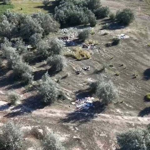 61 свалка ликвидирована в области Абай