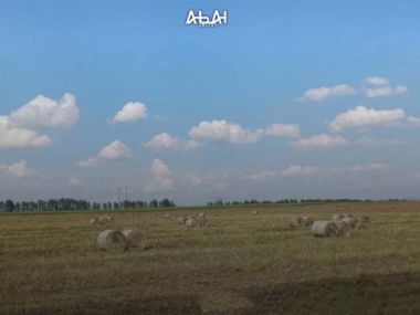 В Бородулихинском районе готовят кормовую  базу
