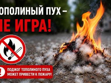 Не игра &mdash; реальная опасность: полиция предупреждает об ответственности за поджог тополиного пуха