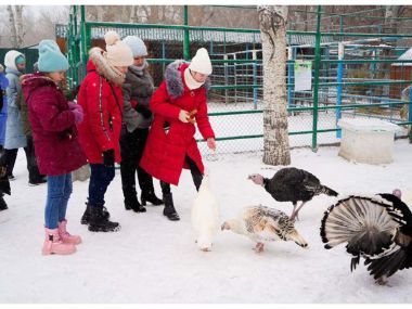 В области Абай организовали зимние каникулы для детей