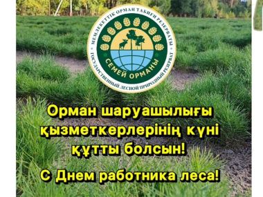 В области Абай отпраздновали День работника лесного хозяйства