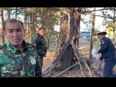 «Заготовку для поджога» проверили лесники и силовики