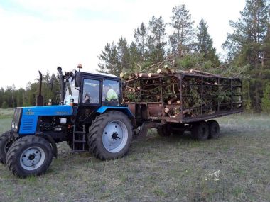 Незаконное хищение леса предотвратили полицейские