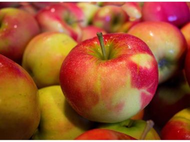 Самые дорогие «яблочные» страны и какова стоимость яблок в Казахстане