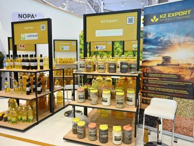 Область Абай представила свою продукцию в Китае