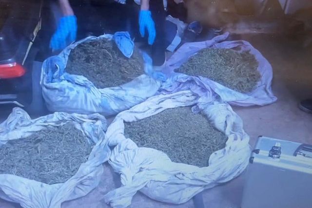 Гараж превратился в тайник: в Риддере изъяли почти 6 кг марихуаны