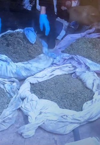 Гараж превратился в тайник: в Риддере изъяли почти 6 кг марихуаны