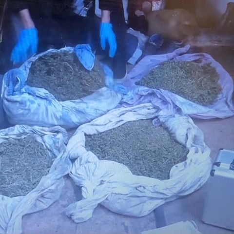 Гараж превратился в тайник: в Риддере изъяли почти 6 кг марихуаны
