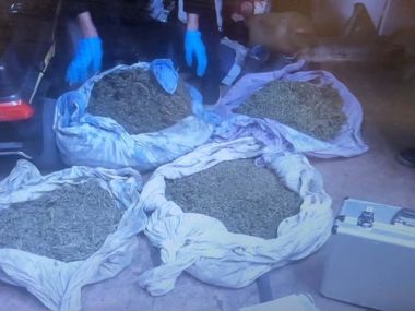 Гараж превратился в тайник: в Риддере изъяли почти 6 кг марихуаны