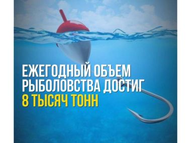 Северный Арал восстанавливается: 1 миллиард кубометров воды и зеленые пояса для возрождения Аральского моря