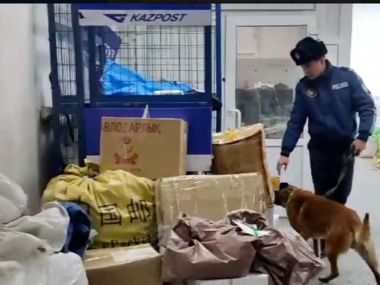 С помощью служебных собак полицейские области проверили почтовые посылки