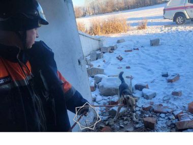 В Семее сотрудники МЧС спасли собаку, упавшую в колодец
