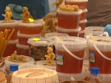 В Урджарском районе впервые прошел фестиваль пчеловодства &laquo;BAL-fest Urjar&raquo;