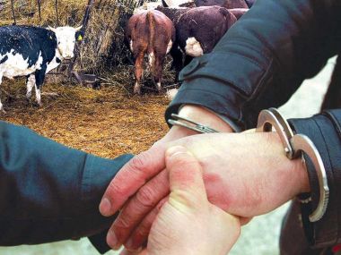 Совершил самоубийство после кражи скота