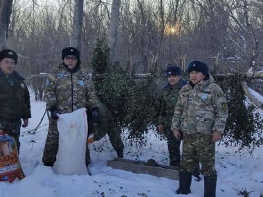 Лесники области Абай поддерживают диких животных в суровые морозы