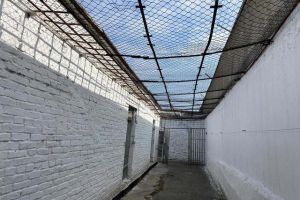 В Восточном Казахстане осужденных признали виновными в вымогательстве