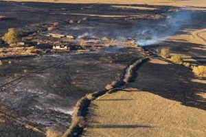 Полицейские помогали жителям и отгоняли скот в безопасные загоны во время пожаров в области Абай