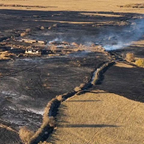 Полицейские помогали жителям и отгоняли скот в безопасные загоны во время пожаров в области Абай
