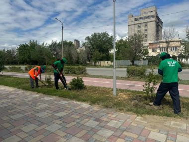 В Семее открылся трудовой сезон для молодежи