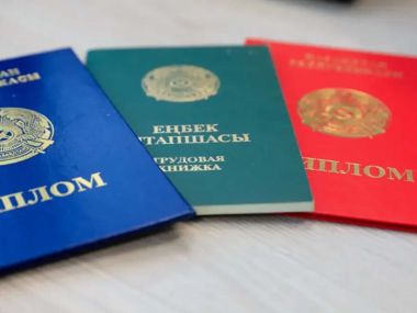 В области Абай прокуроры выявили фальшивые дипломы у работников национального парка