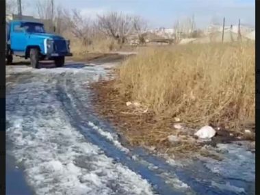 В области Абай с начала года свыше 1 800 человек привлечены к ответственности за нарушения благоустройства