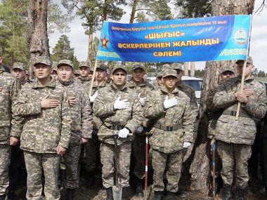 Военнослужащие высадили более 20 тысяч сеженцев