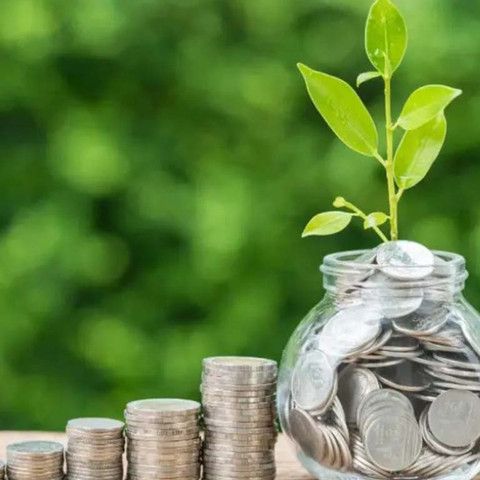 Пенсионная система: самозанятым могут помочь с накоплениями?