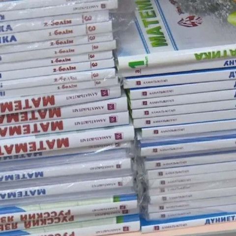 В казахстанских школьных учебниках выявлено порядка 700 недочетов