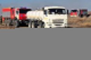 В области Абай полностью ликвидировано возгорание сухой травы и камыша