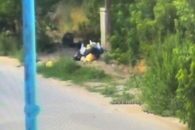 В области Абай прокуроры выявили нарушения экологического законодательства в рамках акции &laquo;Таза Қазақстан&raquo;