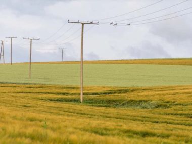 Планируемые отключения электроэнергии на 3 сентября