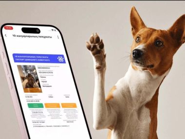 Цифровой паспорт для питомцев добавили в eGov Mobile