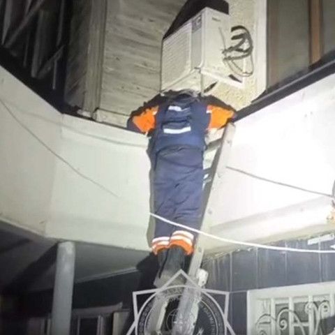 В Семее спасатели освободили кошку из-под крыши магазина