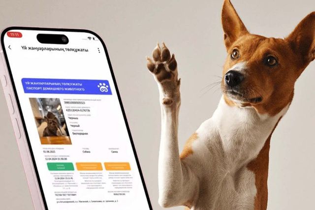 Цифровой паспорт для питомцев добавили в eGov Mobile